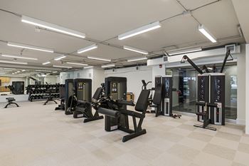 A gym with a variety of equipment including treadmills, weights, and exercise machines.